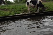 iphone-trea-d-d-26-mei-2013-037