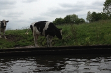 iphone-trea-d-d-26-mei-2013-038