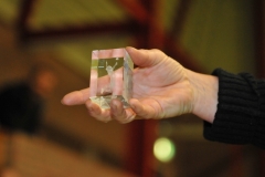 Clubkampioenschappen 2013