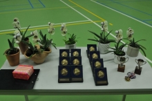 kampioenen-01