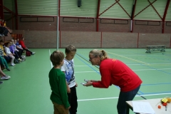 Veengroavertjestoernooi 2013