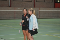 Week van het Badminton 2013